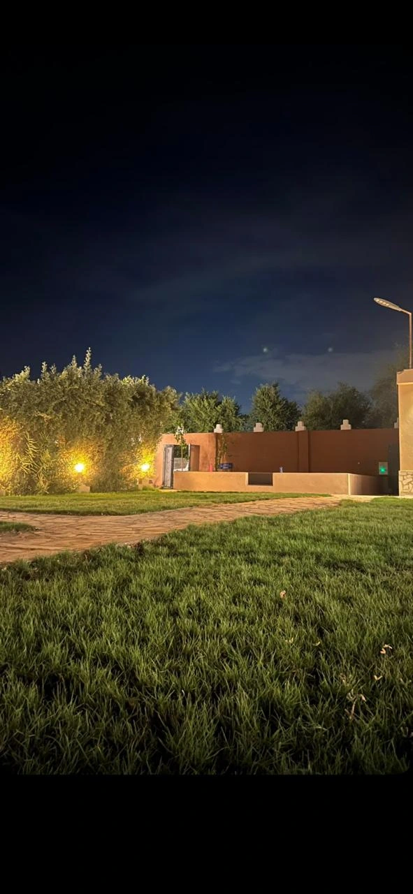 حديقة الواحة ليلًا مع المسطح الأخضر والإضاءة الدافئة